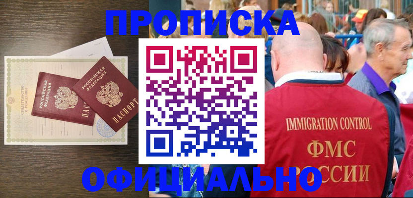 прописка 2025 в Мончегорске